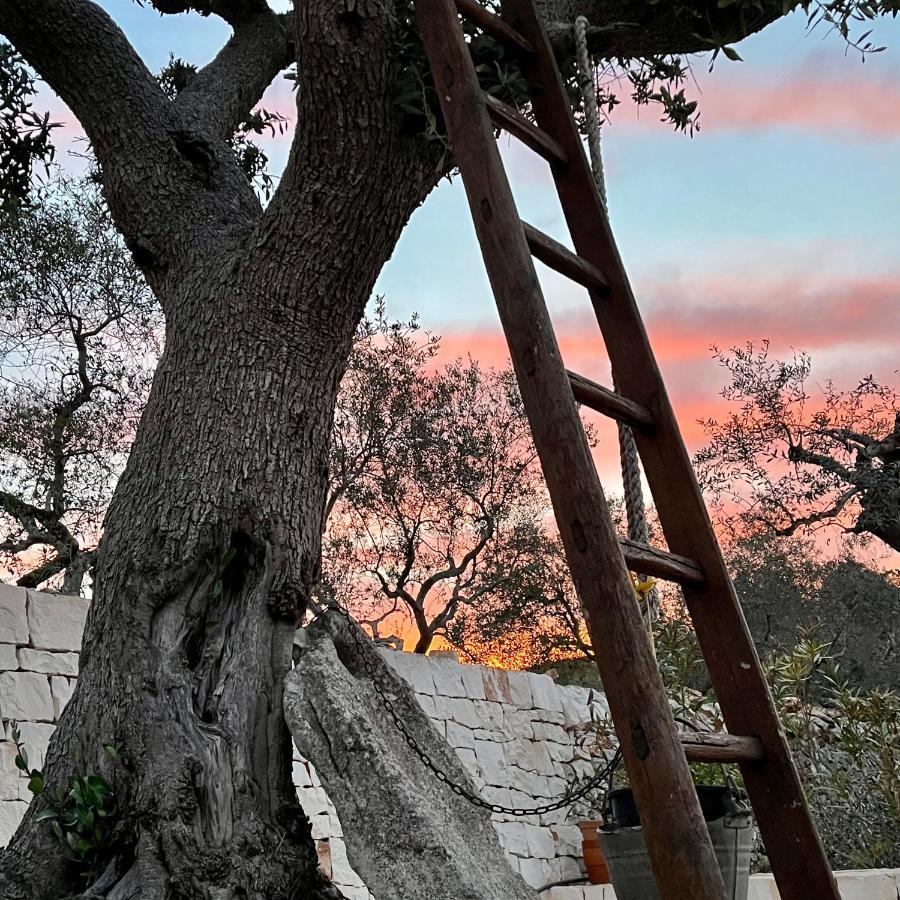 Quei Trulli Divini Bed & Breakfast Martina Franca Exterior foto